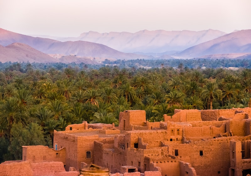 Marrakech — kasbah and palm grove below the Atlas mountains